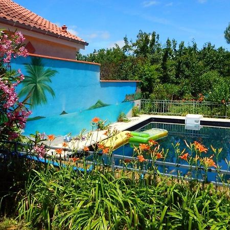 2 Chambres Et Salle De Bain Un Oasis De Bien Etre Piscine Et Jardin Direct Gare Aeroport Τουλούζη Εξωτερικό φωτογραφία