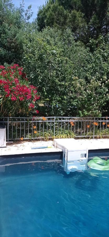 2 Chambres Et Salle De Bain Un Oasis De Bien Etre Piscine Et Jardin Direct Gare Aeroport Τουλούζη Εξωτερικό φωτογραφία