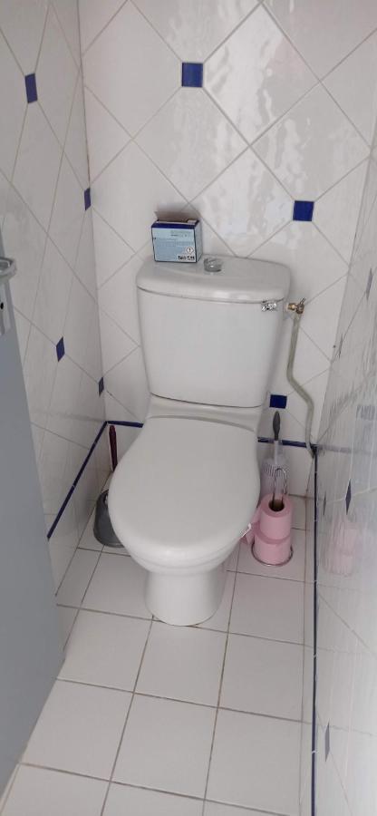2 Chambres Et Salle De Bain Un Oasis De Bien Etre Piscine Et Jardin Direct Gare Aeroport Τουλούζη Εξωτερικό φωτογραφία