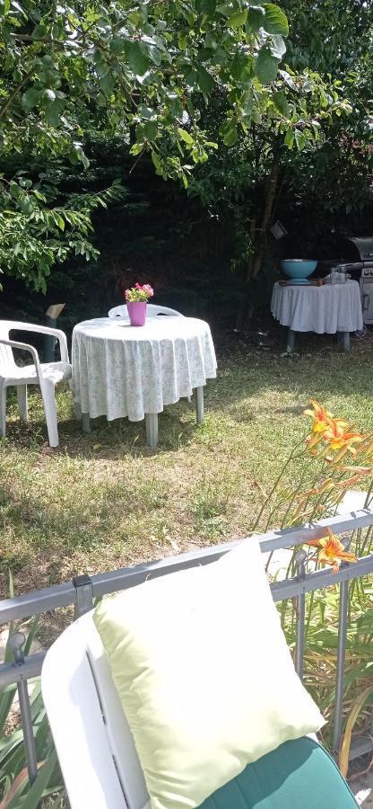 2 Chambres Et Salle De Bain Un Oasis De Bien Etre Piscine Et Jardin Direct Gare Aeroport Τουλούζη Εξωτερικό φωτογραφία