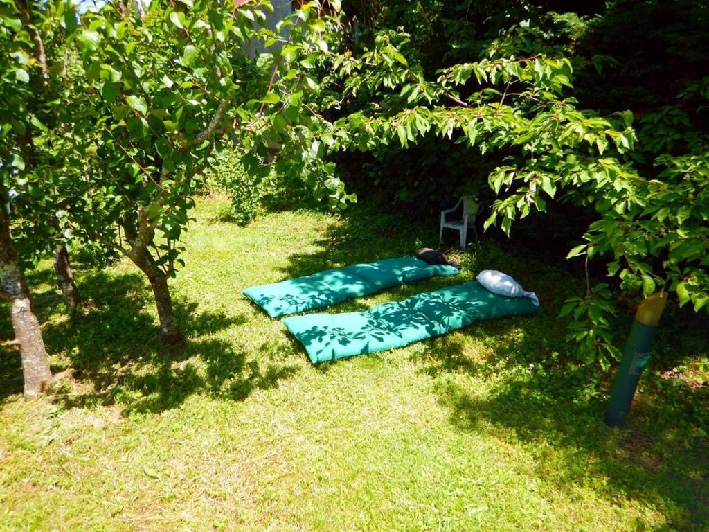 2 Chambres Et Salle De Bain Un Oasis De Bien Etre Piscine Et Jardin Direct Gare Aeroport Τουλούζη Εξωτερικό φωτογραφία